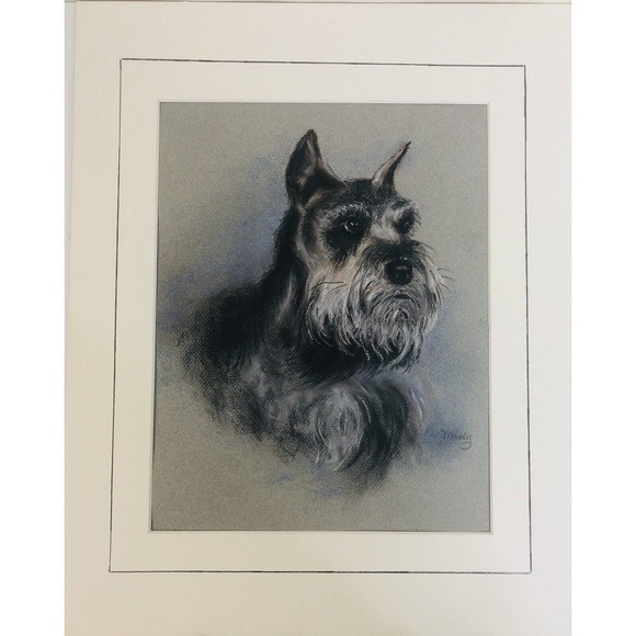 Vintage Pastel Drawing Schnauzer Gray Dog Original Art - Picture 2 of 8